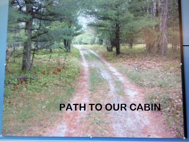 cabin-unnamed